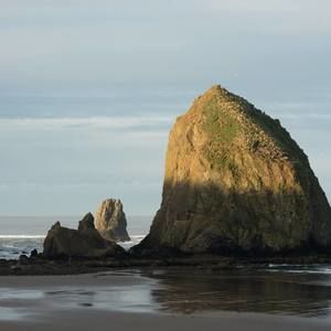 Meet your Posher, Ann